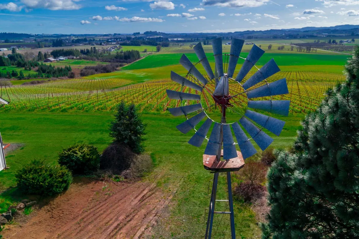 An expansive view of the rolling vineyards stretches into the distance, anchored by a classic windmill and bordered by gentle hills. The landscape evokes the heart of Oregon wine country, perfect for vineyard tours and outdoor picnics. The scene is serene, inviting exploration and immersion in local wine culture.